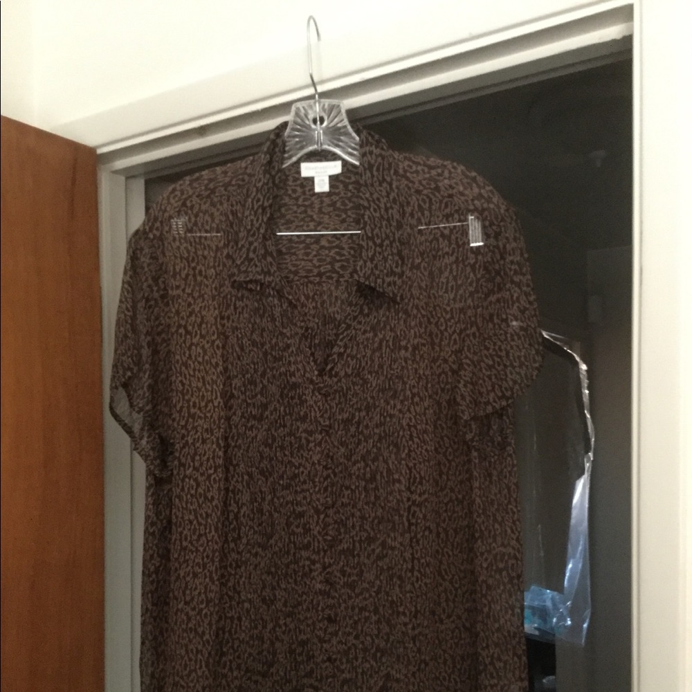 Shear Blouse